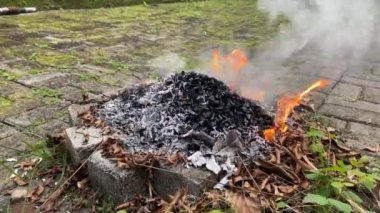 Burning leaf leaves garbage trash in fire pit bonfire