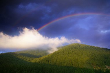 Rainbow üzerinde yeşil orman ve dağlar üzerinde mavi gökyüzü