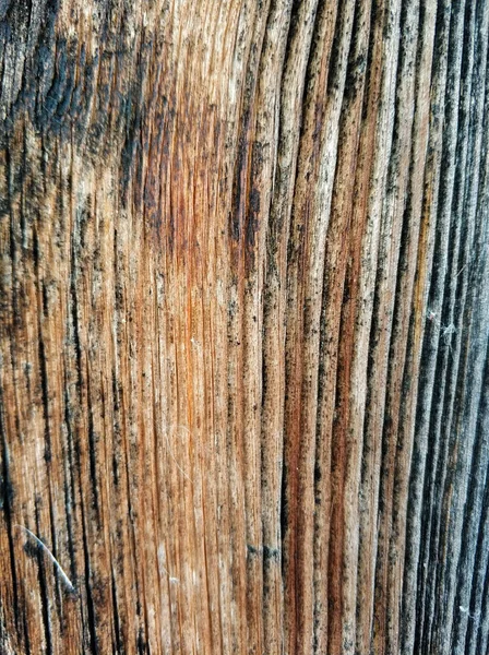 Antiguo texturizado madera marrón-gris tableros primer plano de fondo. — Foto de Stock