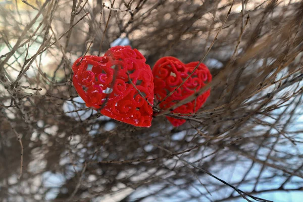 Два Красных Сердца Деревянном Фоне — стоковое фото