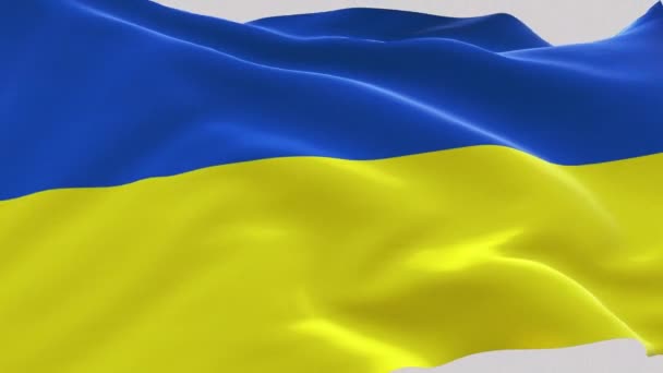 Animation du drapeau national de l'Ukraine — Video