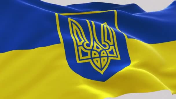 Animasi dari Bendera Nasional Ukraina — Stok Video