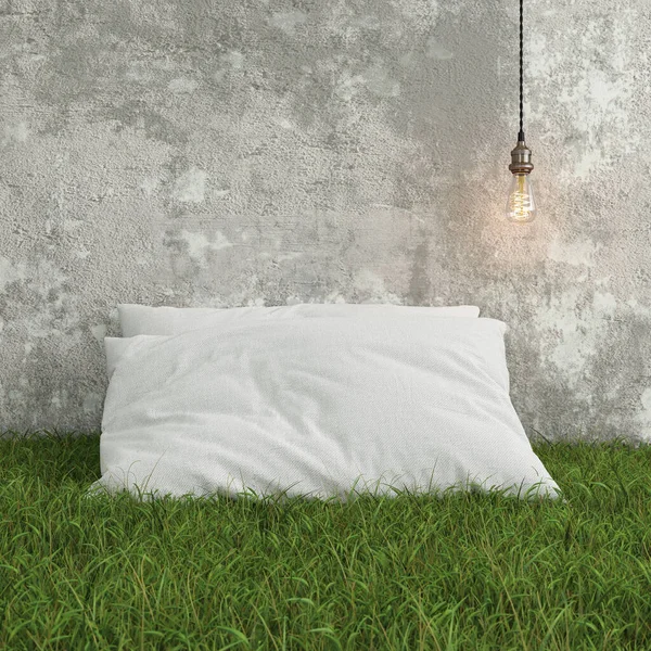 Almohada Blanca Césped Verde — Foto de Stock