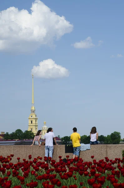Vue sur la ville de Saint-Pétersbourg — Photo