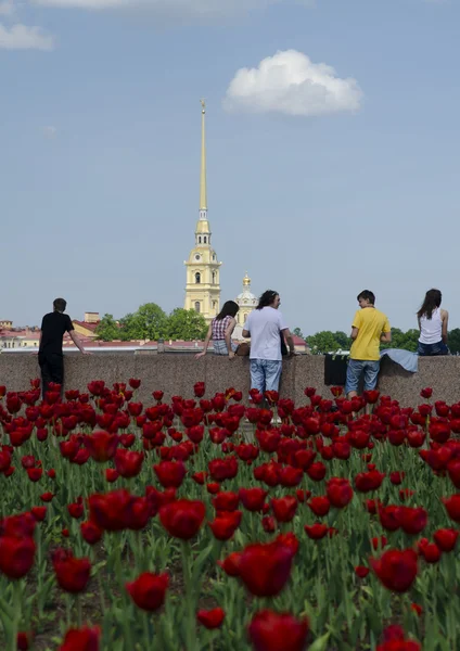 St. Petersburg şehir manzaraları — Stok fotoğraf