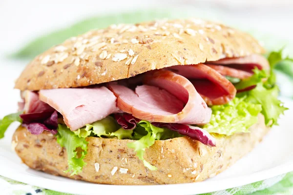 Sandwich de pavo casero fresco — Foto de Stock