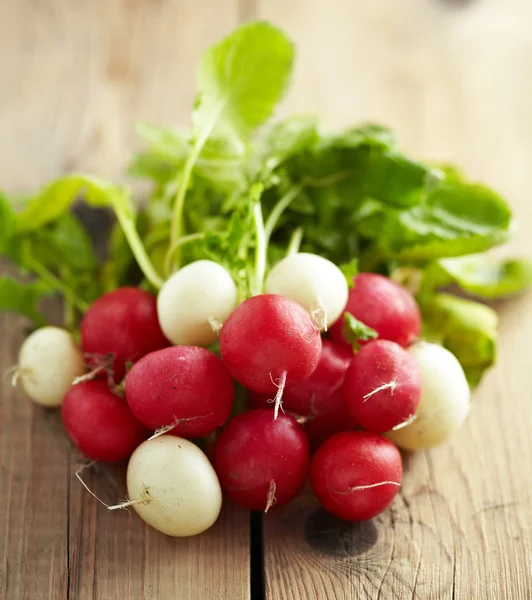 Fresh Radishes — Stock Photo, Image