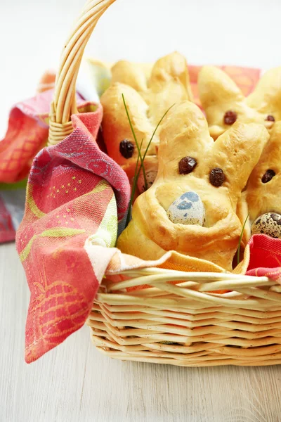 Easter bunny bullar — Stockfoto