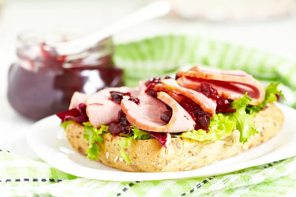 Fresh Homemade Turkey Sandwich — Stock Photo, Image
