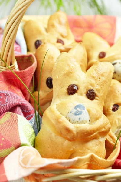 Easter bunny broodjes — Stockfoto