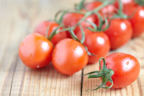 Bunch of juicy tomatoes — Stock Photo, Image