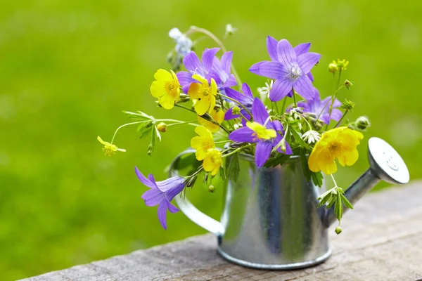 Wilde Sommerblumen — Stockfoto