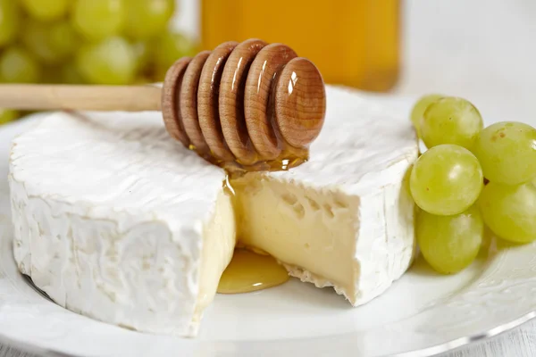 Měkký sýr — Stock fotografie