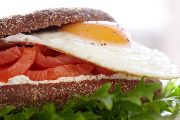 Salmon asap, krim keju dan sandwich telur — Stok Foto