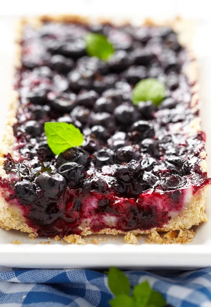 Currant Blueberry Pie — Stock Photo, Image