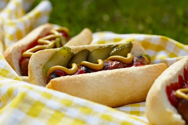 Perros calientes a la parrilla con mostaza, ketchup y sabores — Foto de Stock