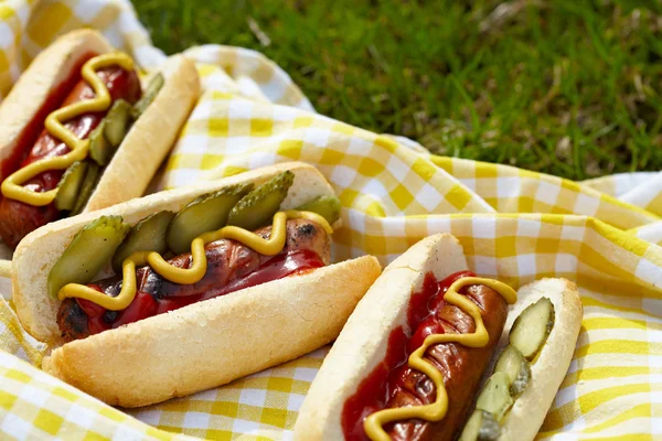 Perros calientes a la parrilla con mostaza, ketchup y sabores — Foto de Stock