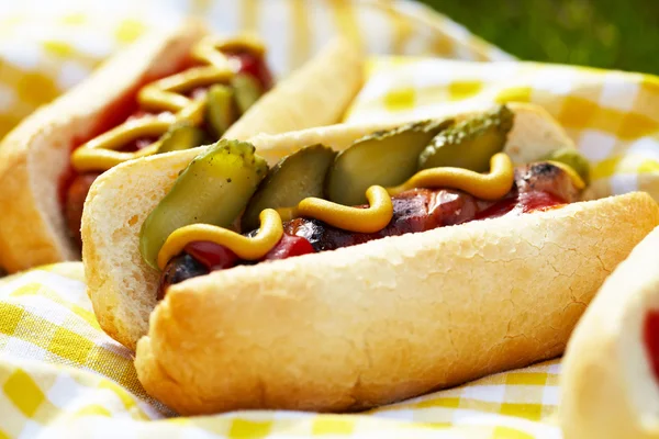 Grilled hot dogs with mustard, ketchup and relish — Stock Photo, Image