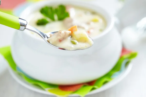 Chicken pot soup — Stock Image Chicken pot soup Stock Image