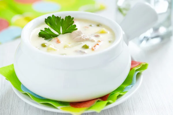 Chicken pot soup — Stock Image Chicken pot soup Stock Photo