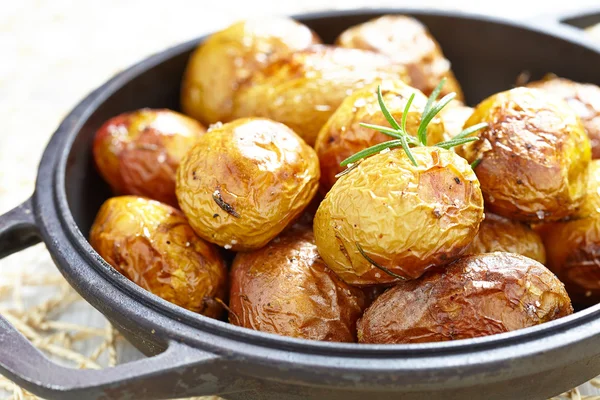 Baked potatoes with rosemary — Stock Photo, Image