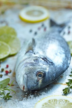 limon, limon ve otlar taze çipura