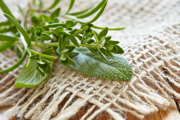 Fresh herbs — Stock Photo, Image