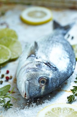 limon, limon ve otlar taze çipura