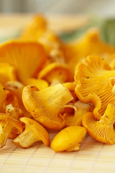 Chanterelle mushrooms — Stock Photo, Image