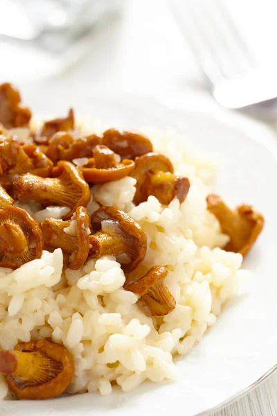 Risotto med kantareller — Stockfoto