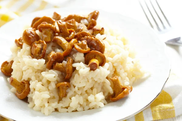 Risotto met cantharellen — Stockfoto