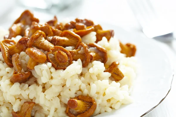 Risotto con cantarelas — Foto de Stock