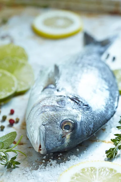 Fresh sea bream with lemon, lime and herbs — Stock Photo, Image