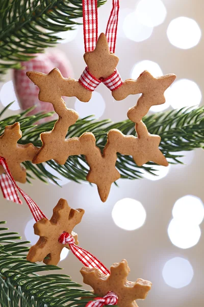 Gingerbread snowflake cookies — Stock Photo, Image