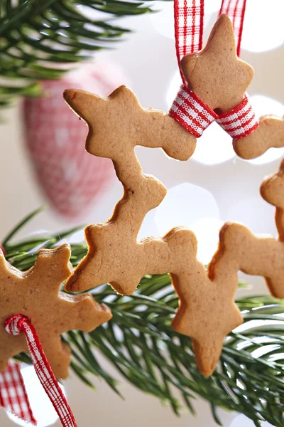 Gingerbread snowflake cookies — Stock Photo, Image
