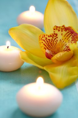 bir mum ile orkide