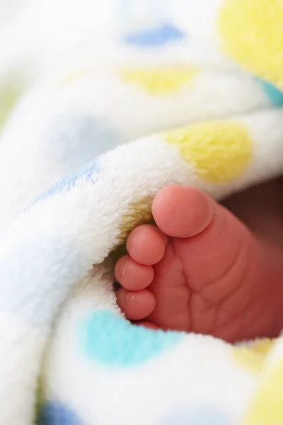 Baby foot in blanket — Stock Photo, Image