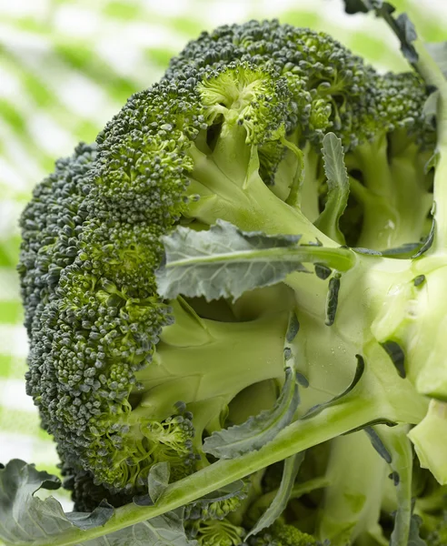 Fresh raw broccoli on wooden board — Stock Photo, Image