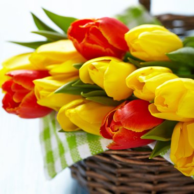 sepet içinde kırmızı ve Sarı Lale