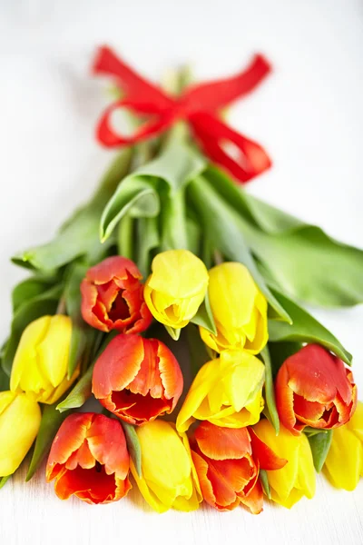 Tulips — Stock Photo, Image