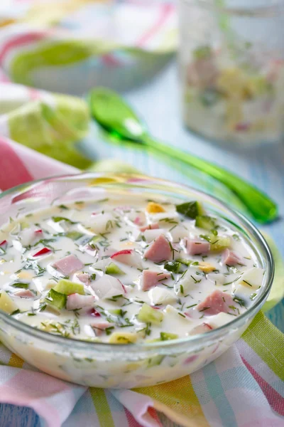 Russian spring and summer cold soup with kefir — Stock Photo, Image