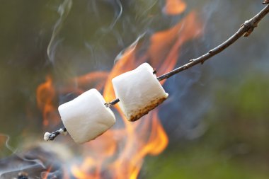 marshmallow on a stick clipart