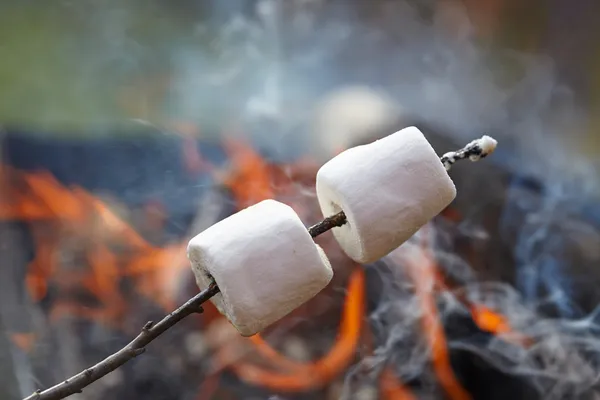 Marshmallow su un bastone — Foto Stock