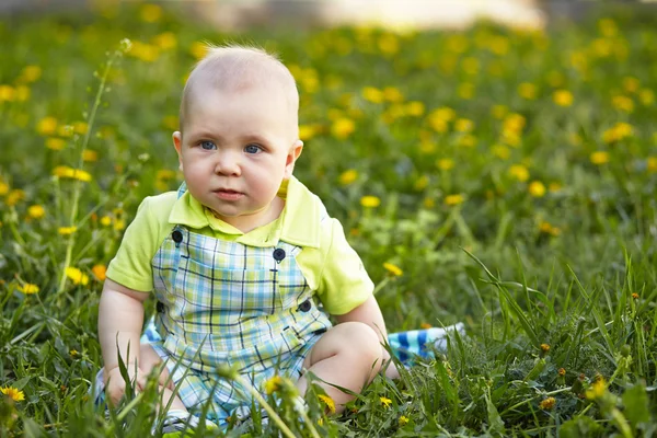 Menino sentado na grama verde — Fotografia de Stock