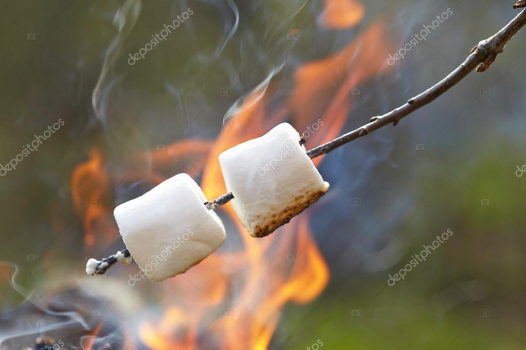 Marshmallow on a stick — Stock Photo © Odelinde 46991831
