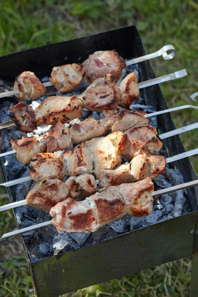 Meat roasted on skewers — Stock Photo, Image