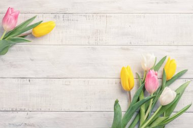 Tavşanlarla, yumurtalarla, çiçeklerle mutlu paskalya arkaplanları