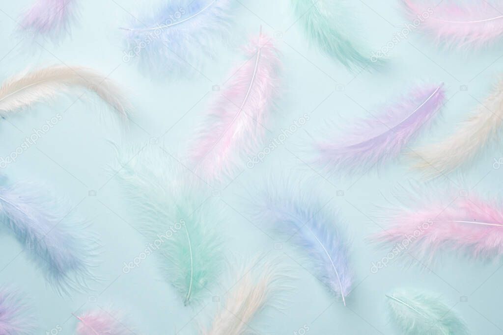 Feathers multicolored background in pastel colors. Feathers pattern. Natural pastel feathers in muted colors. Beautiful feathers surface.