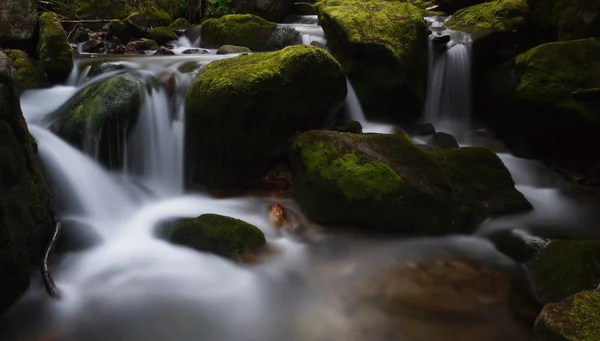 Cours d'eau avec rapides — Photo