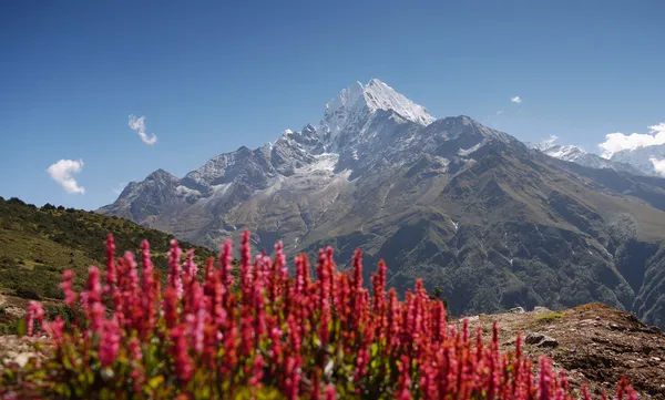 Himalaya — Stok Foto